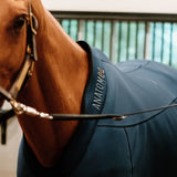 Anatomeq Fit Blanket - 3 in 1 Cooler, Stable Blanket, & Liner