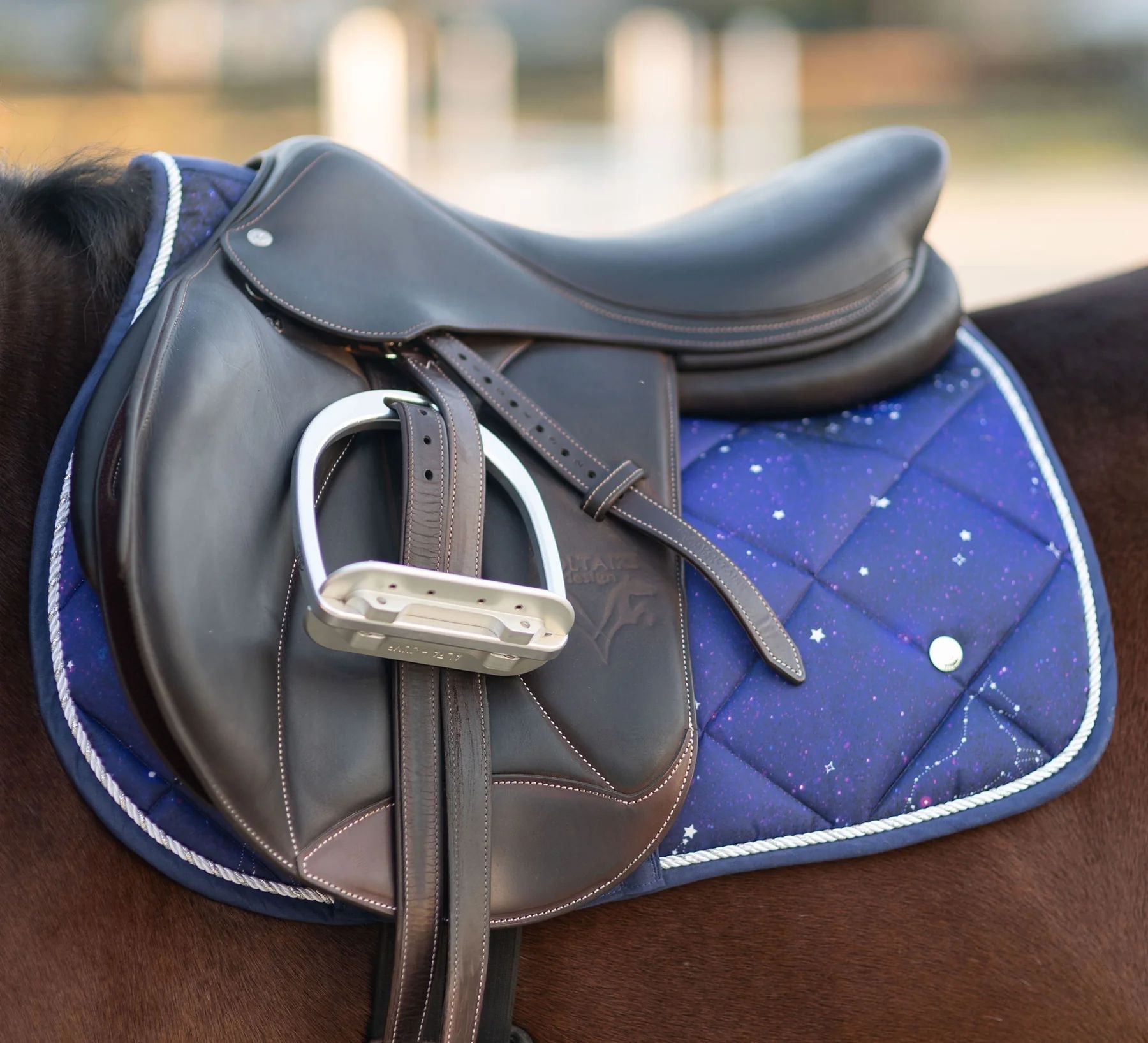Dapplebay Constellation Pony Saddle Pad - Dapplebay - Equiluxe Tack