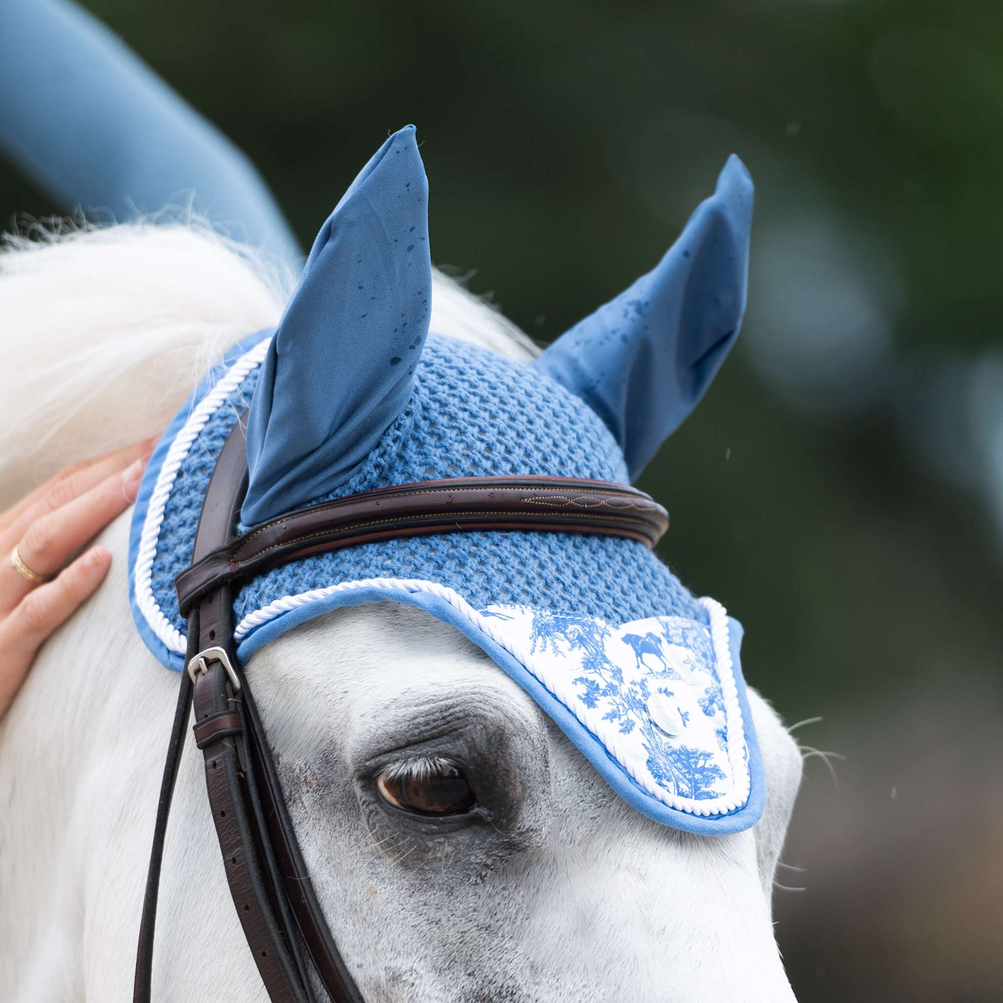 Dapplebay Equestrian Toile Fly Veil - Blue/White - Dapplebay - Equiluxe Tack