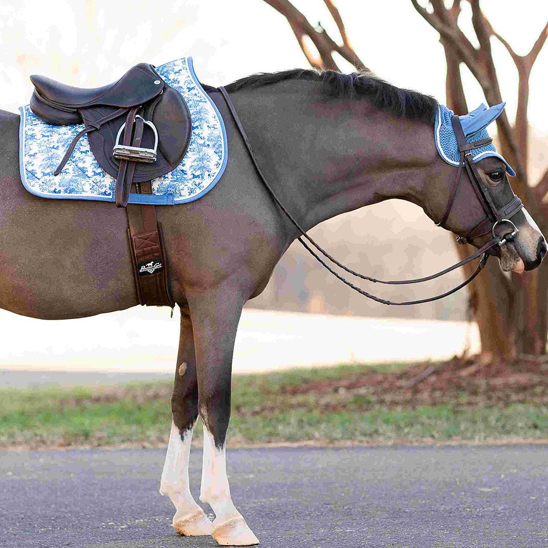 Dapplebay Equestrian Toile Fly Veil - Blue/White - Dapplebay - Equiluxe Tack