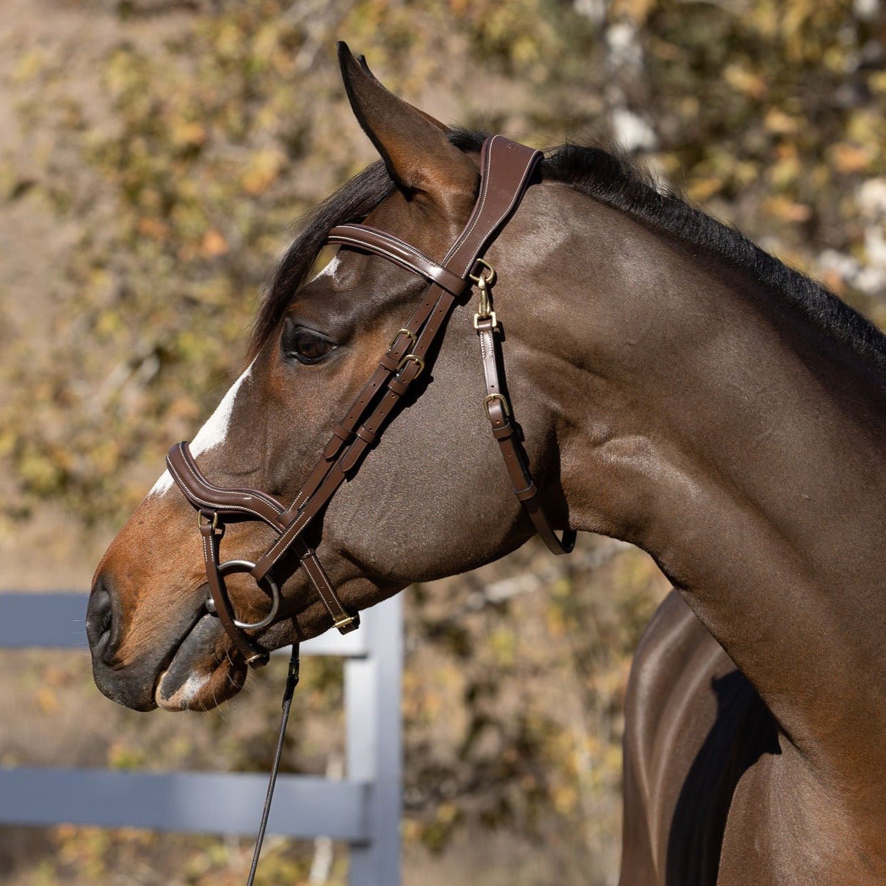 Deauville - Brown Leather Anatomical Jumper Bridle - Halter Ego® - Equiluxe Tack