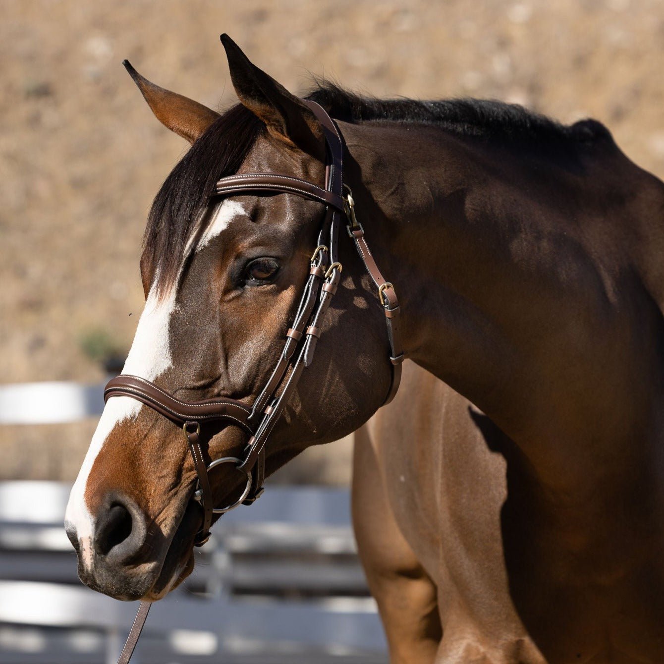 Deauville - Brown Leather Anatomical Jumper Bridle - Halter Ego® - Equiluxe Tack