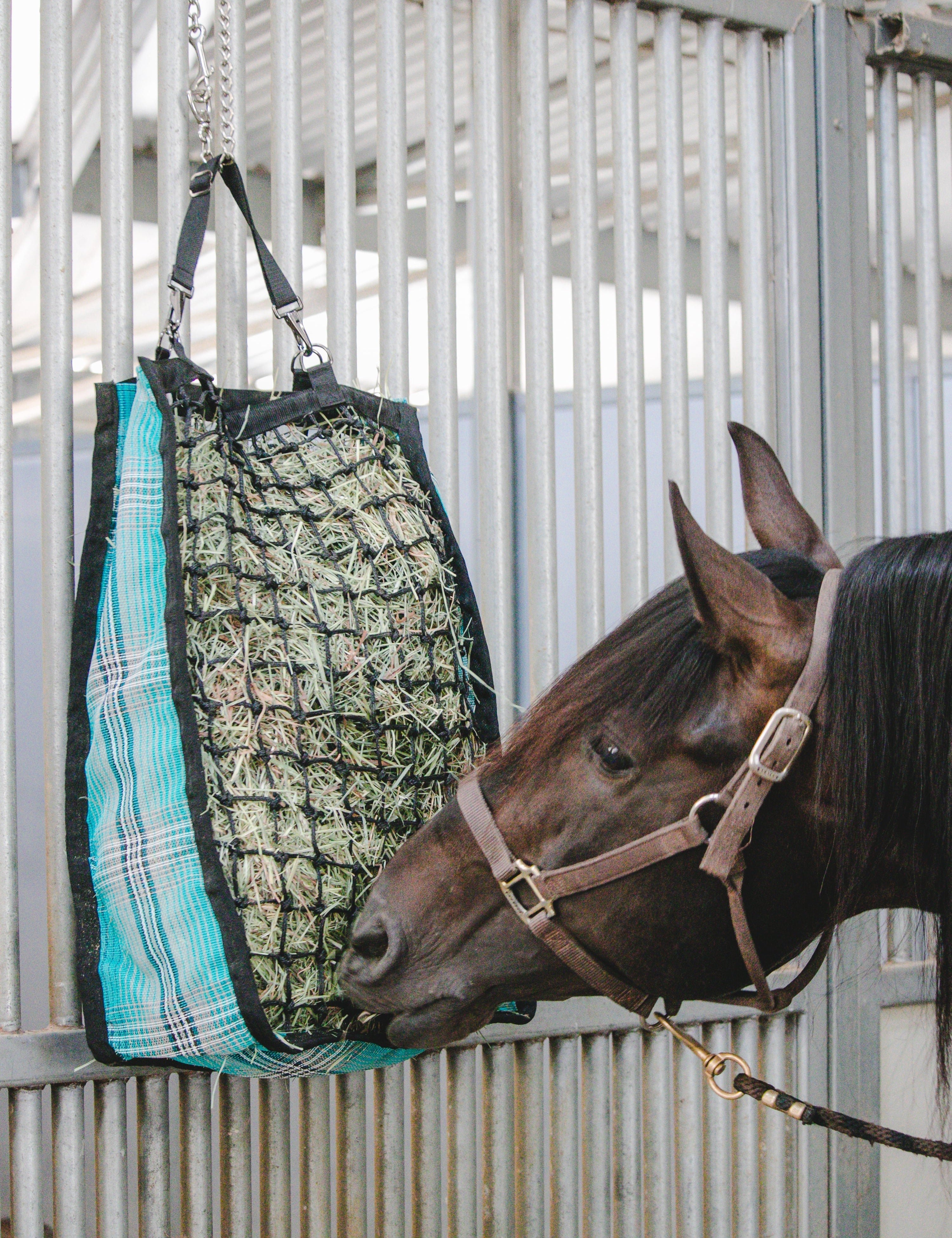 Deluxe Slow Feed Hay Bag - 2 Flake - Kensington Protective Products - Equiluxe Tack