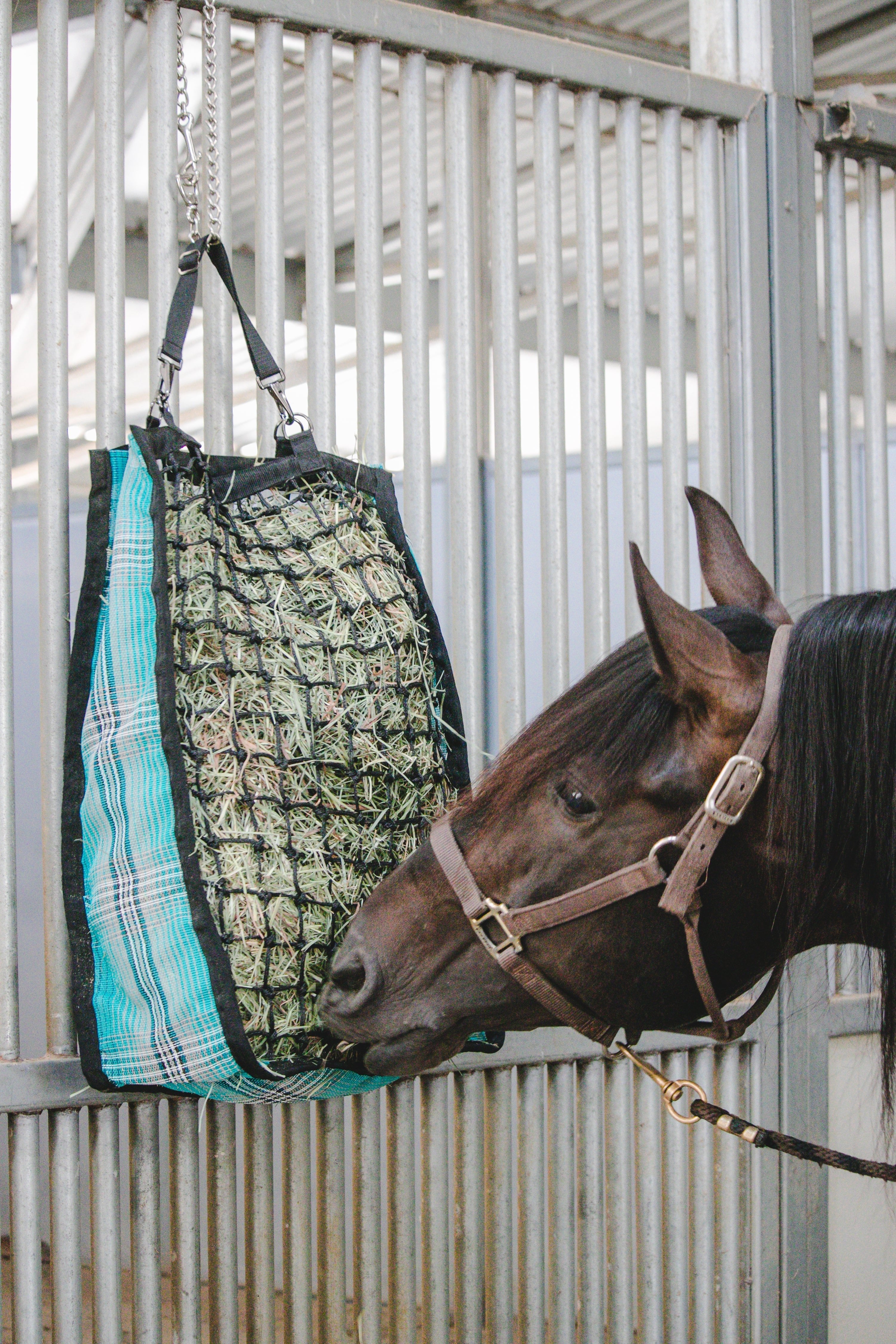 Deluxe Slow Feed Hay Bag - 2 Flake - Kensington Protective Products - Equiluxe Tack