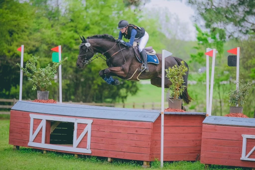 Divine Eq Athletic Long Sleeve Shirt - Navy - Divine Equestrian - Equiluxe Tack