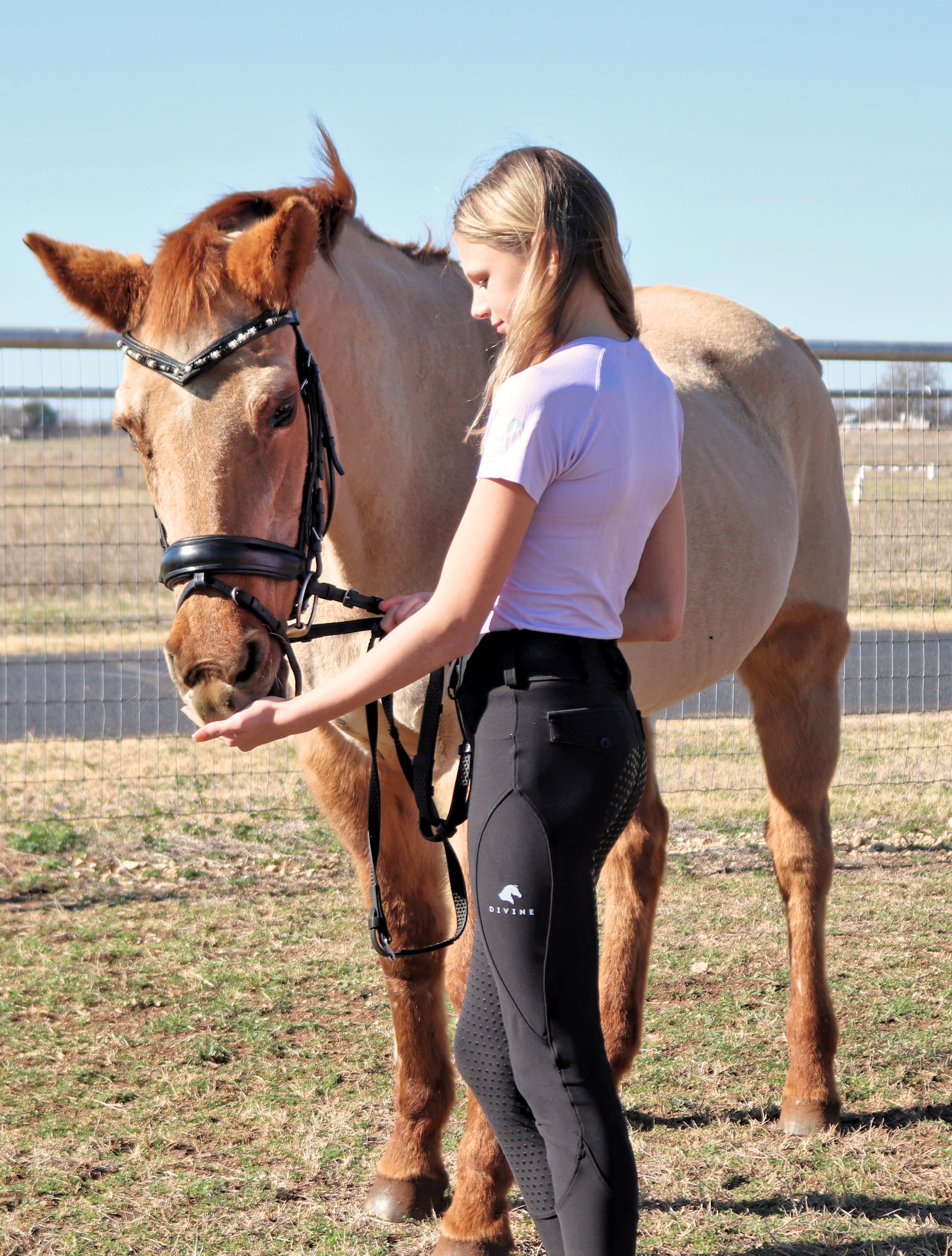 Divine Eq Comfort Grip Leggings - Black - Divine Equestrian - Equiluxe Tack