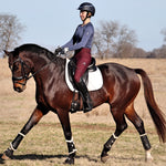 Divine Eq Comfort Grip Leggings - Burgundy - Divine Equestrian - Equiluxe Tack