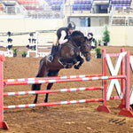 Divine Eq Dignified Competition Breeches - Beige - Divine Equestrian - Equiluxe Tack