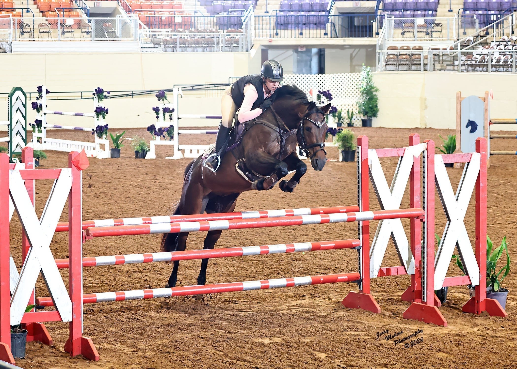 Divine Eq Dignified Competition Breeches - Beige - Divine Equestrian - Equiluxe Tack