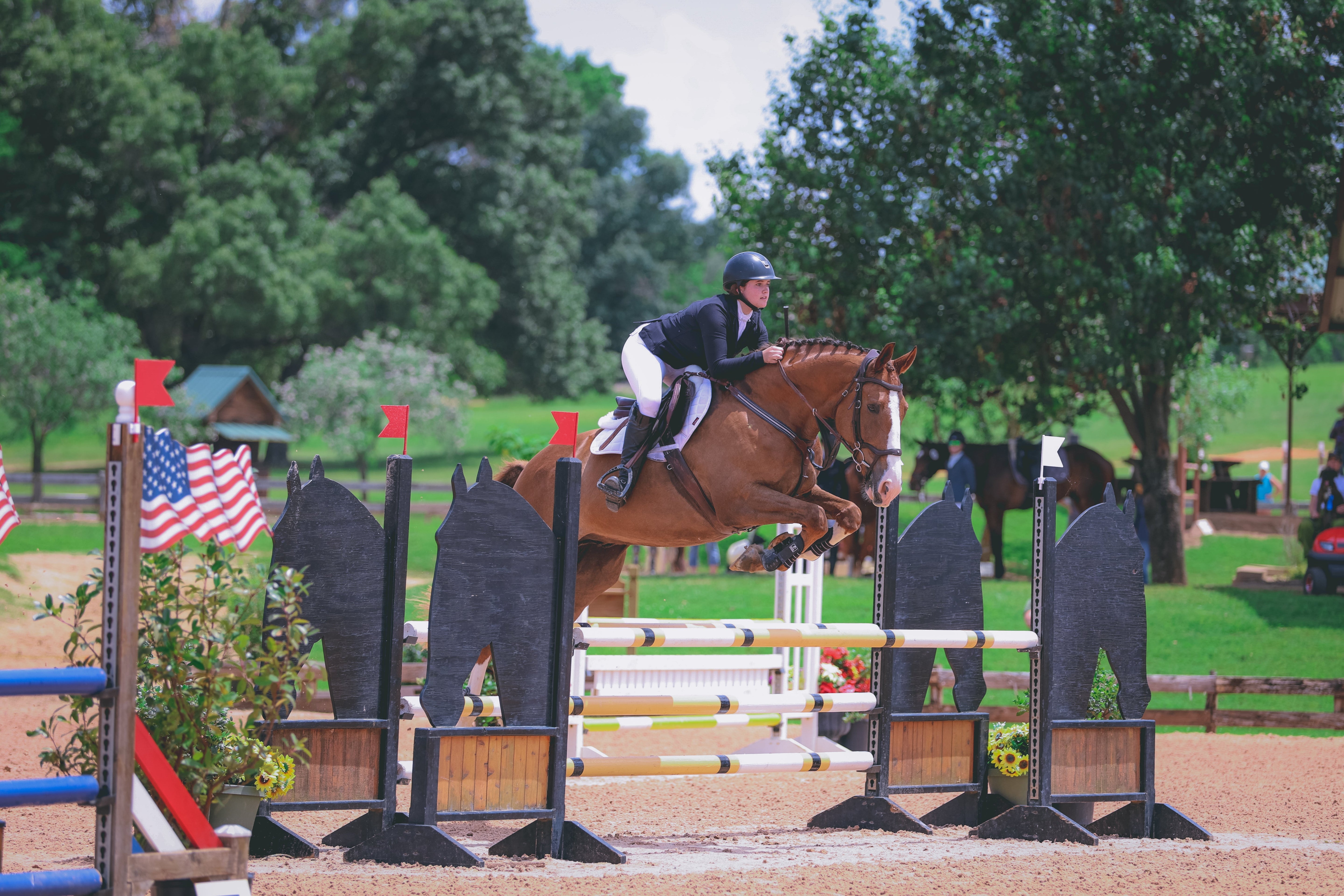 Divine Eq Dignified Competition Breeches - White - Divine Equestrian - Equiluxe Tack