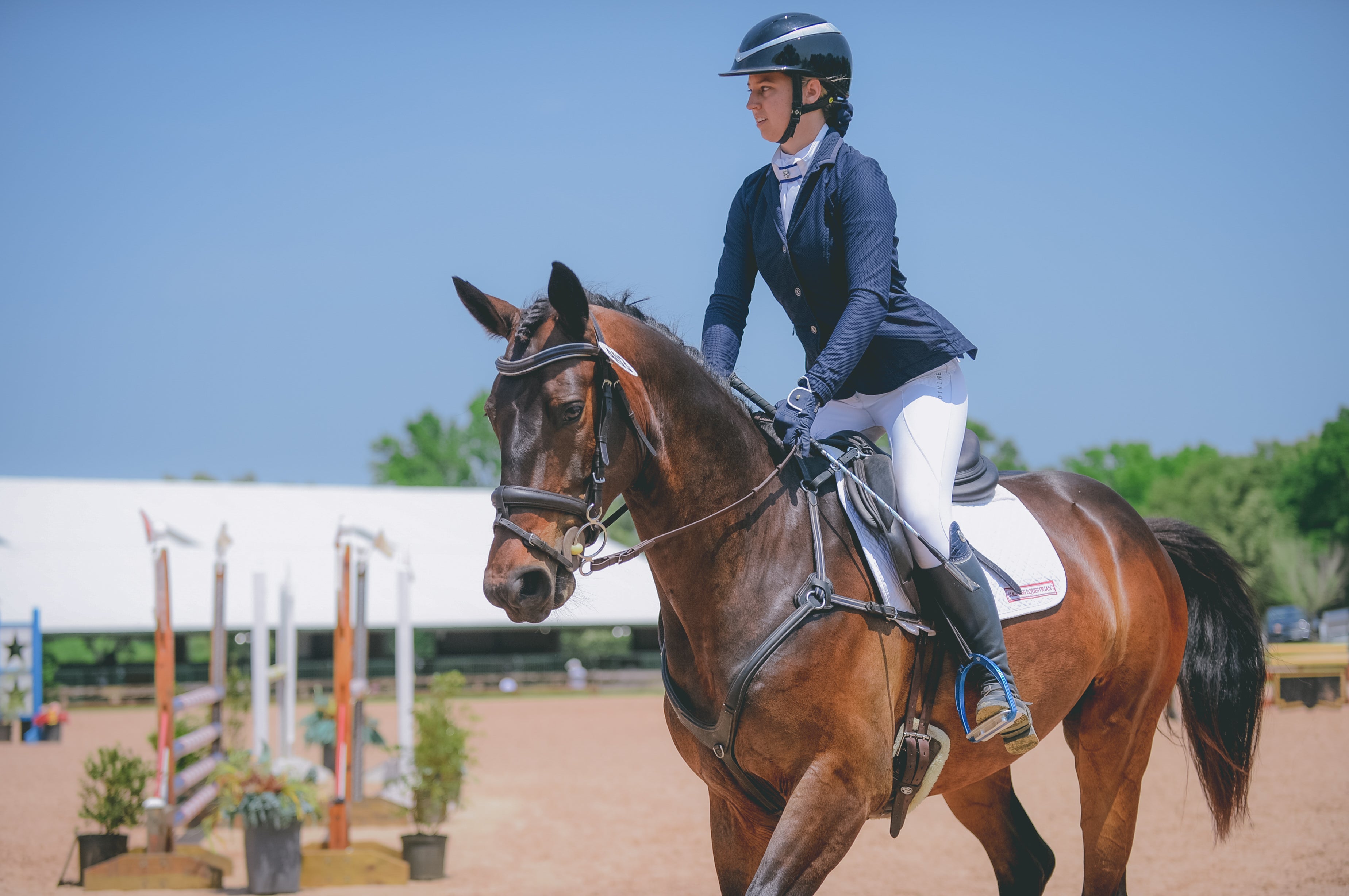 Divine Eq Dignified Competition Breeches - White - Divine Equestrian - Equiluxe Tack