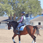 Divine Eq Winter Fleece Lined Leggings - Blue - Divine Equestrian - Equiluxe Tack