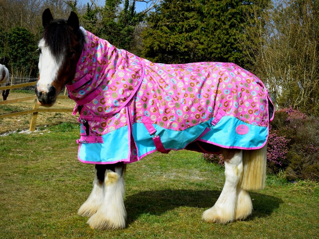 Donut Delight 50g Turnout Blanket - Equiluxe Tack