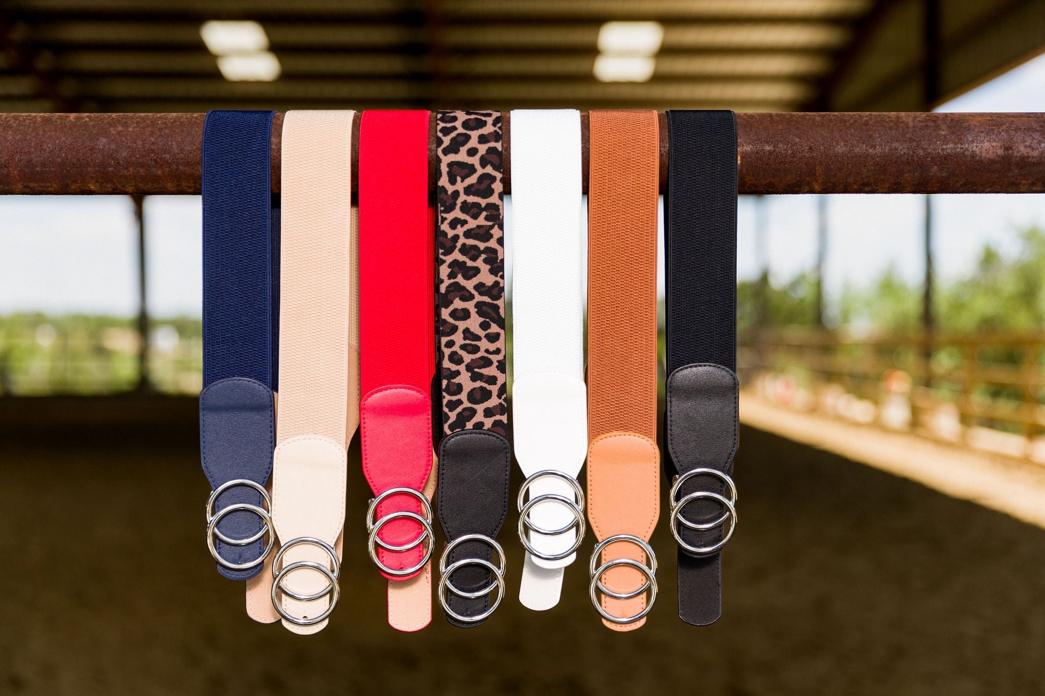 Double Circle 2" Elastic Belt - Canter Culture Riding Apparel - Equiluxe Tack