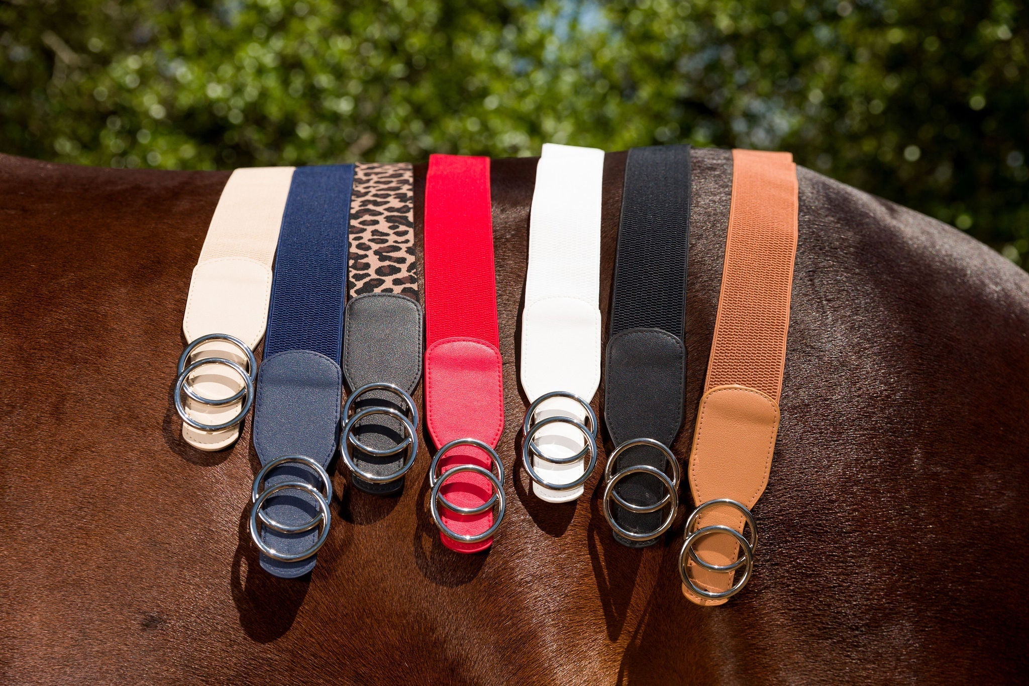 Double Circle 2" Elastic Belt - Canter Culture Riding Apparel - Equiluxe Tack