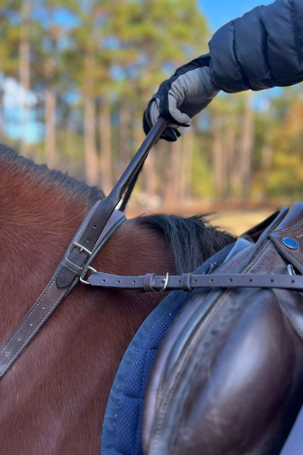 Double Neck Strap Extra Long Add - On Strap - CorrectConnect - Equiluxe Tack