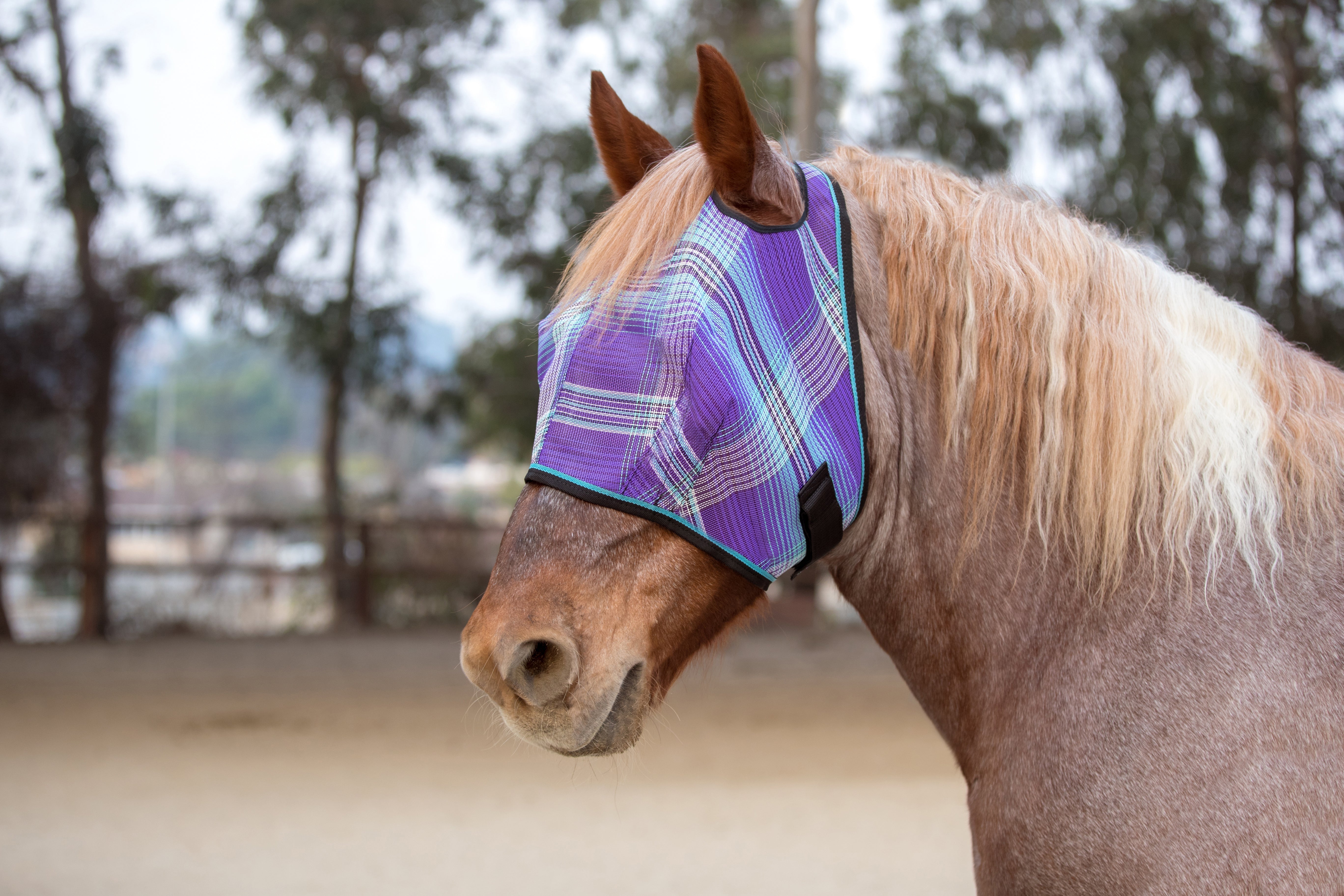 Draft Fly Mask with Web Trim - Dual Ear Holes - Kensington Protective Products - Equiluxe Tack