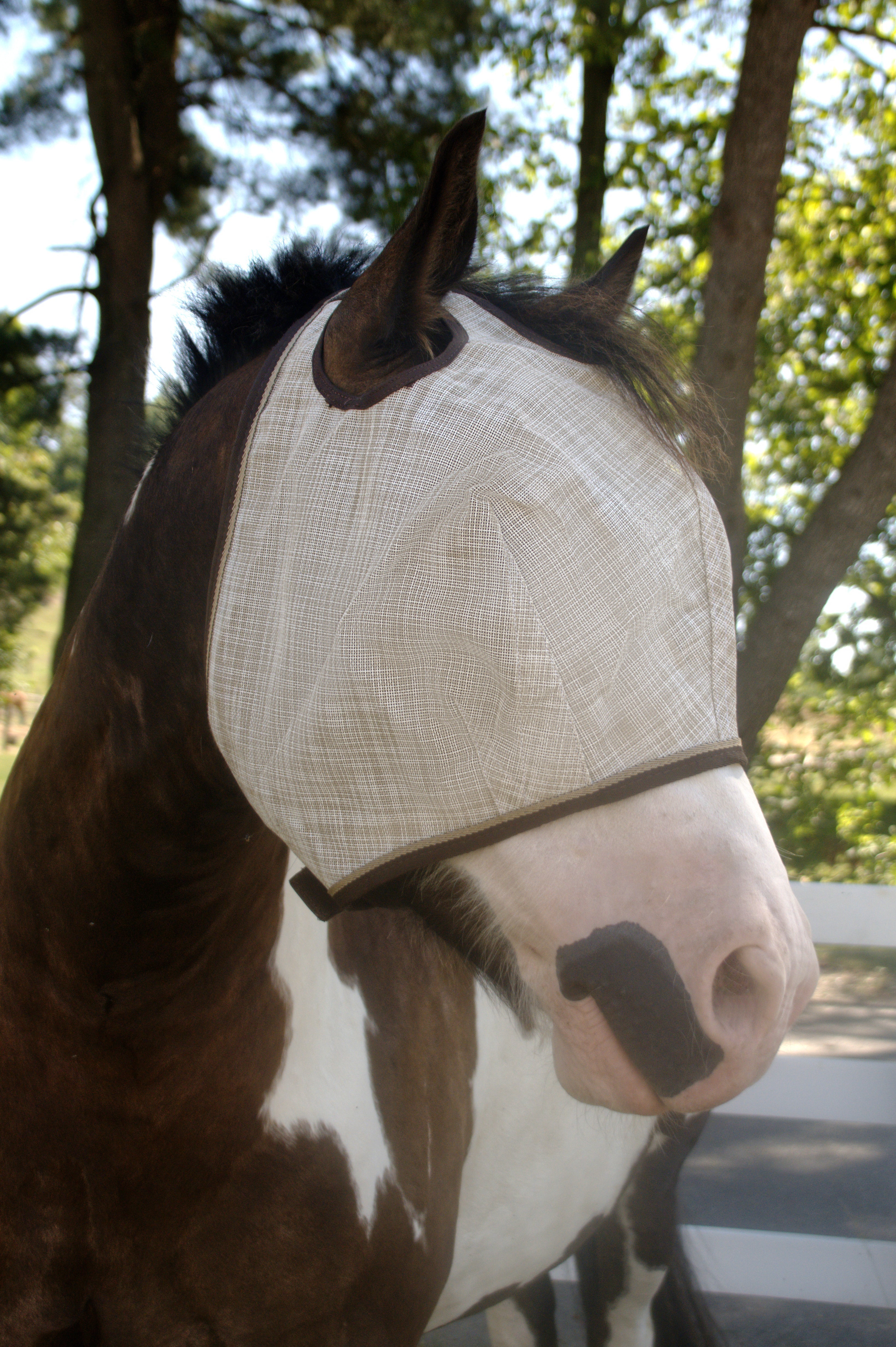 Draft Fly Mask with Web Trim - Dual Ear Holes - Kensington Protective Products - Equiluxe Tack