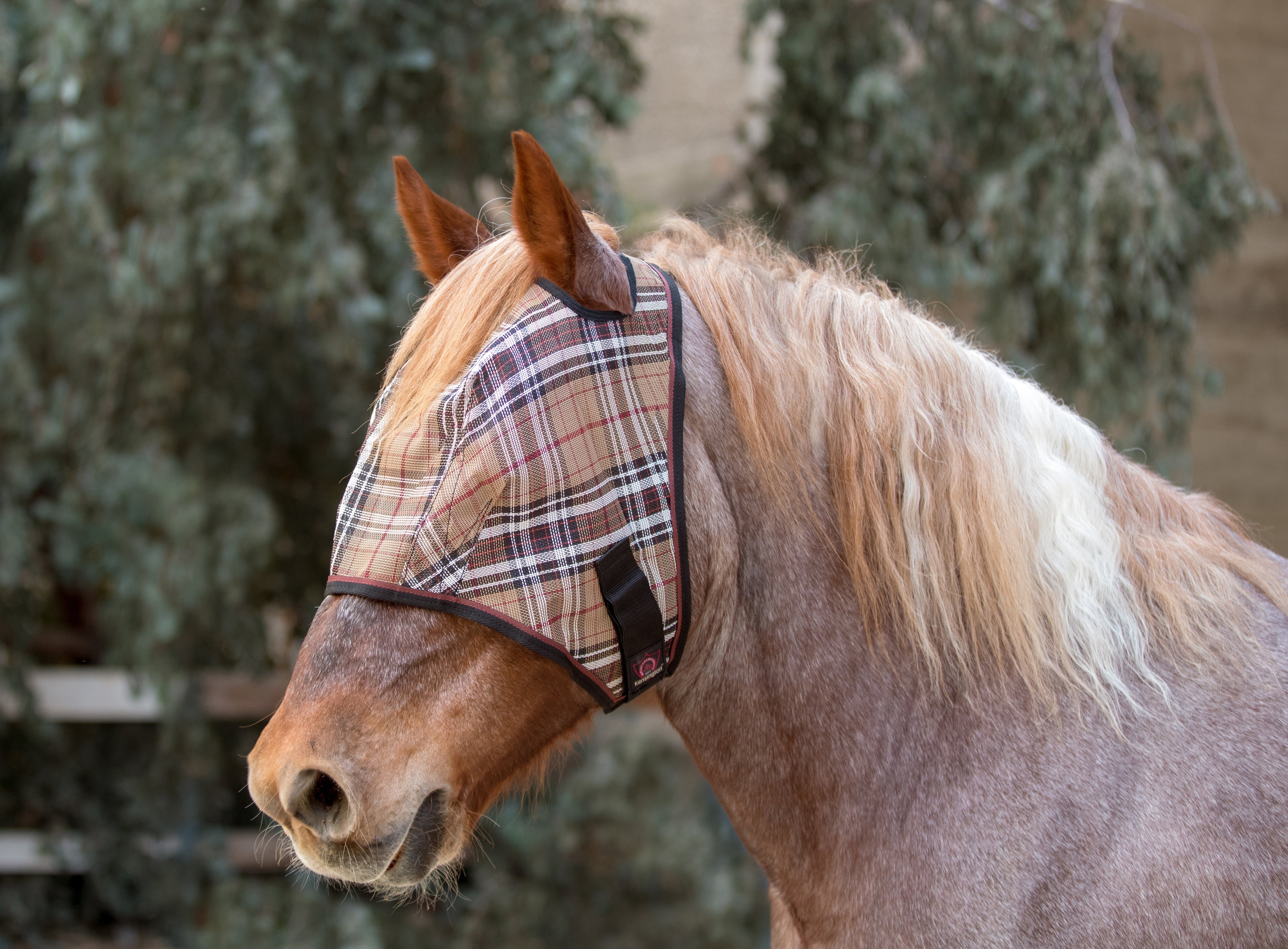 Draft Fly Mask with Web Trim - Dual Ear Holes - Kensington Protective Products - Equiluxe Tack