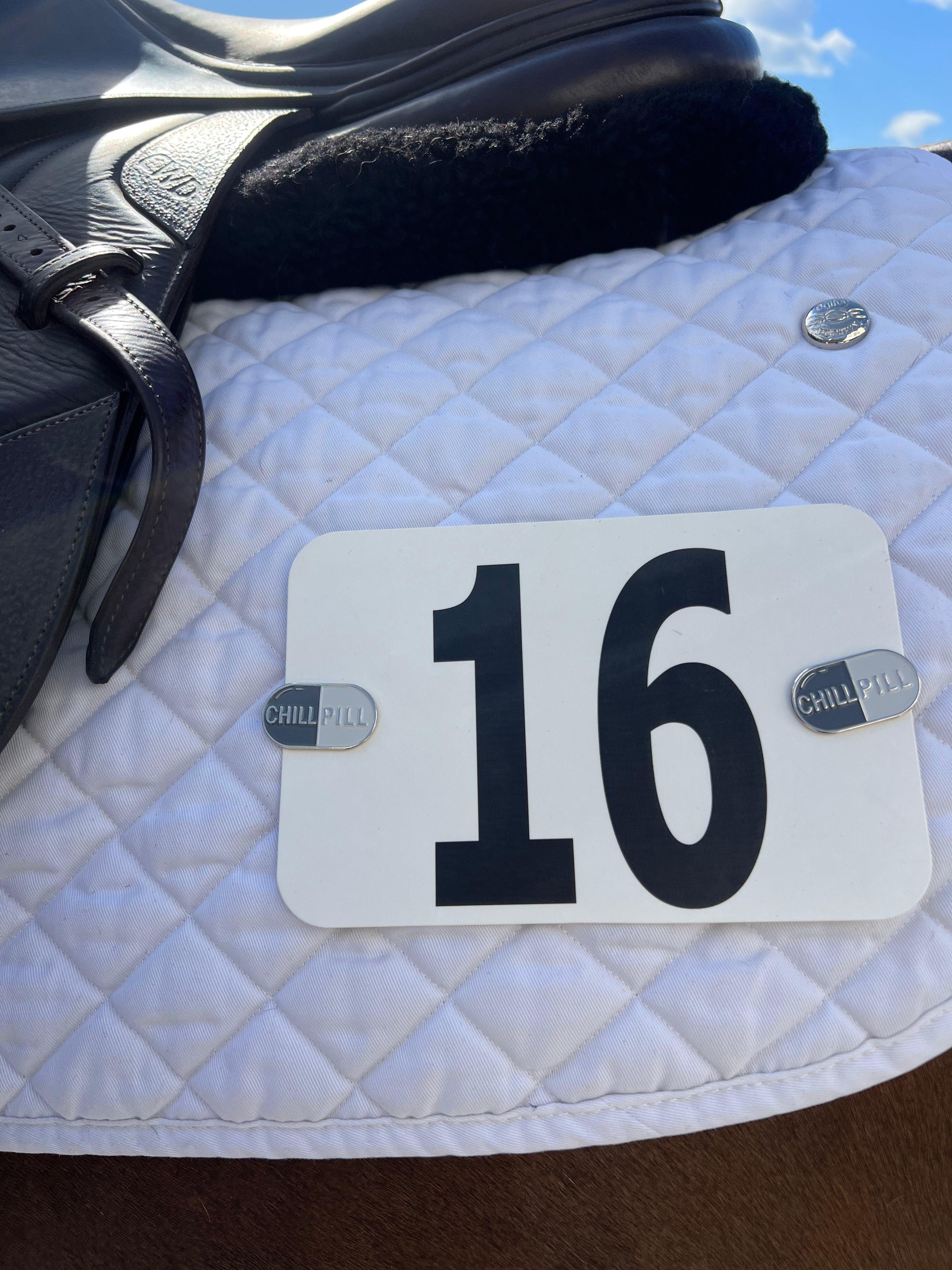 Dubois Cheval Chill Pill Number Pin Charm - DUBOIS CHEVAL - Equiluxe Tack