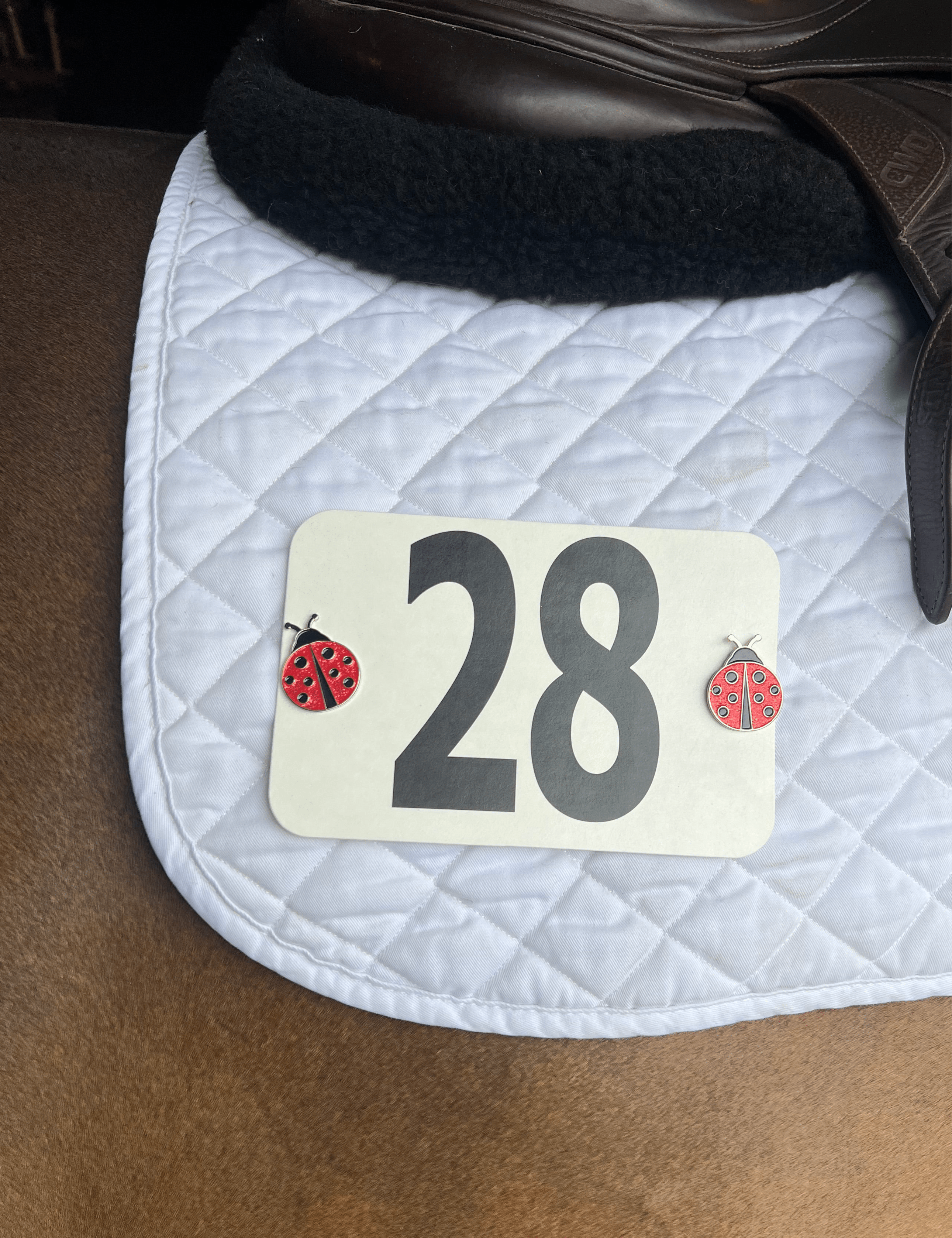 Dubois Cheval Ladybug Number Pin Charms - DUBOIS CHEVAL - Equiluxe Tack