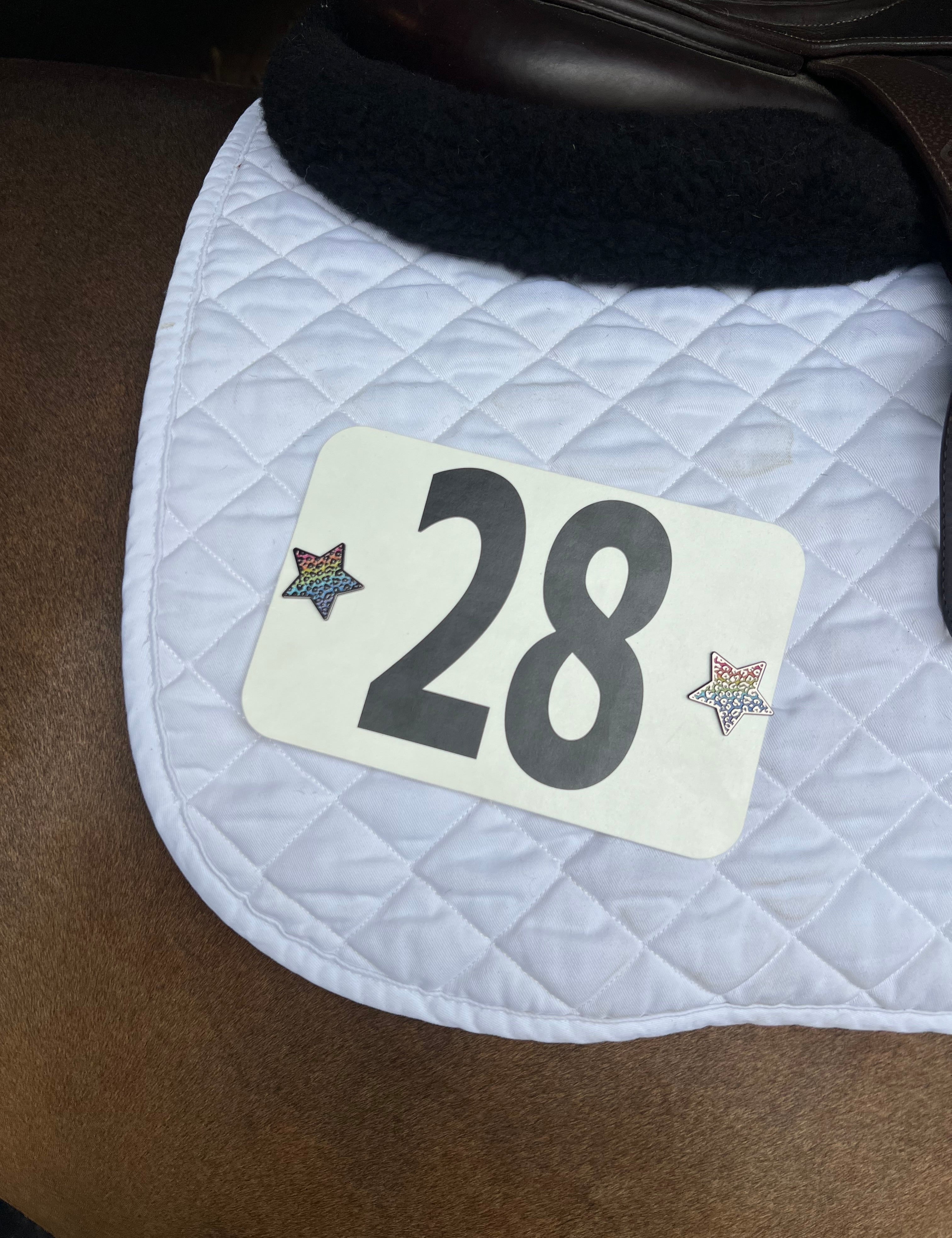 Dubois Cheval Rainbow Cheetah Number Pin Charms - DUBOIS CHEVAL - Equiluxe Tack