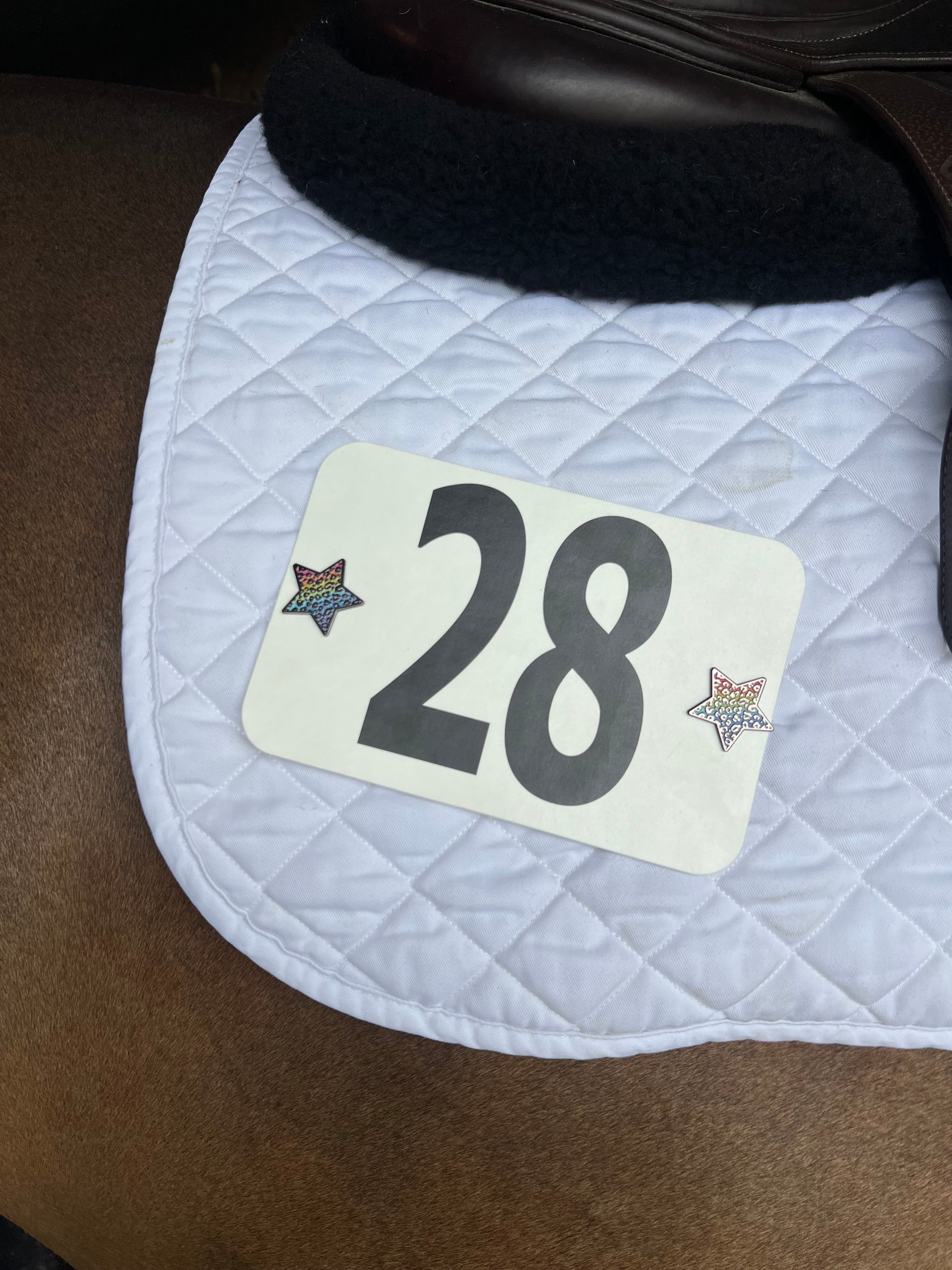 Dubois Cheval Rainbow Cheetah Number Pin Charms - DUBOIS CHEVAL - Equiluxe Tack