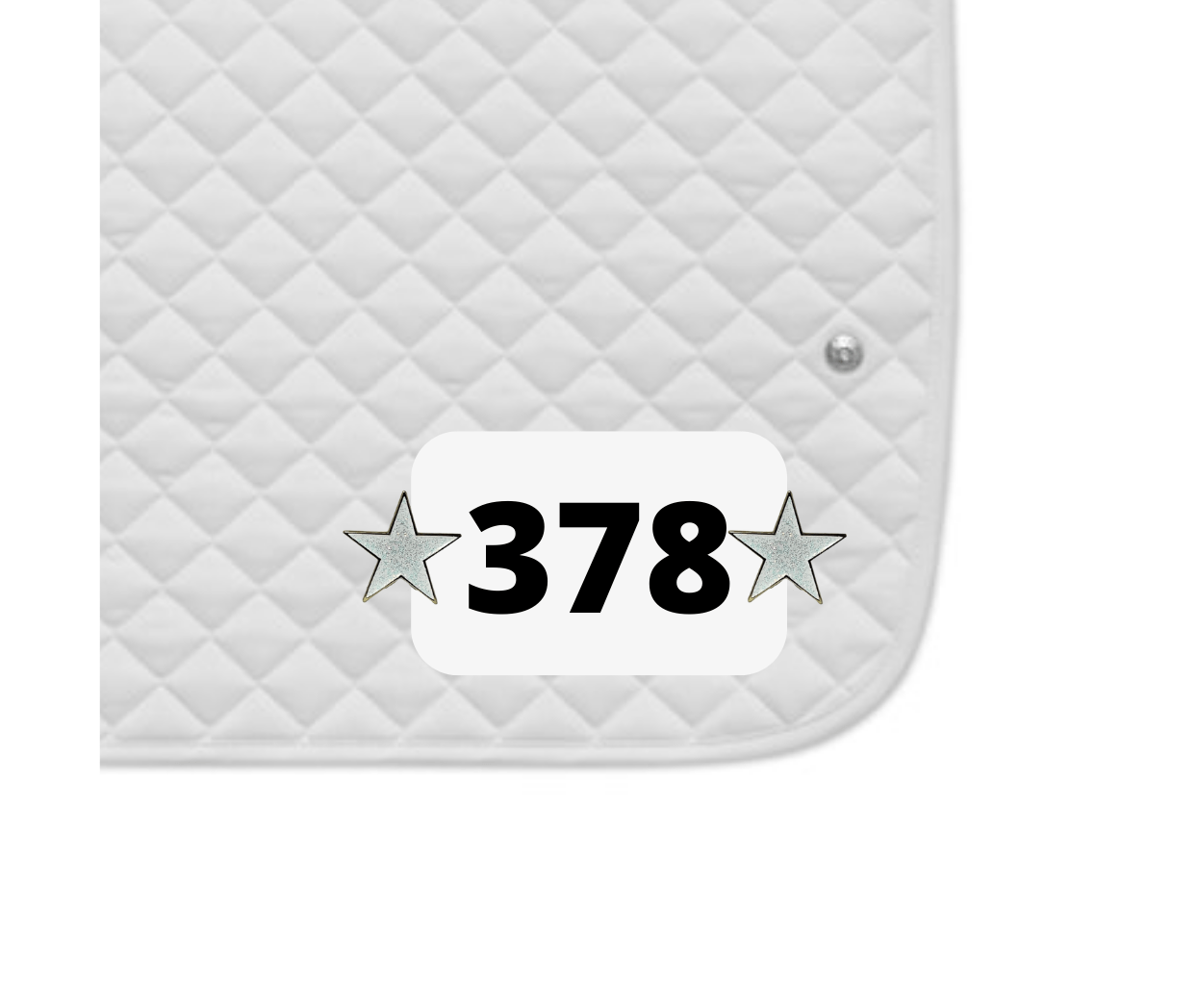 Dubois Cheval Shining Star Number Pin Charm - DUBOIS CHEVAL - Equiluxe Tack