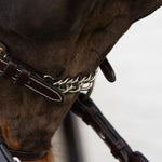 Dy'on 5/8" Chain D Collection Full Brown - Equiluxe Tack