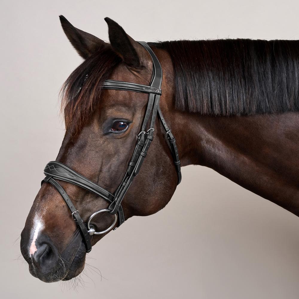 Dy'on Anatomic Flash Noseband Bridle US Collection - Equiluxe Tack