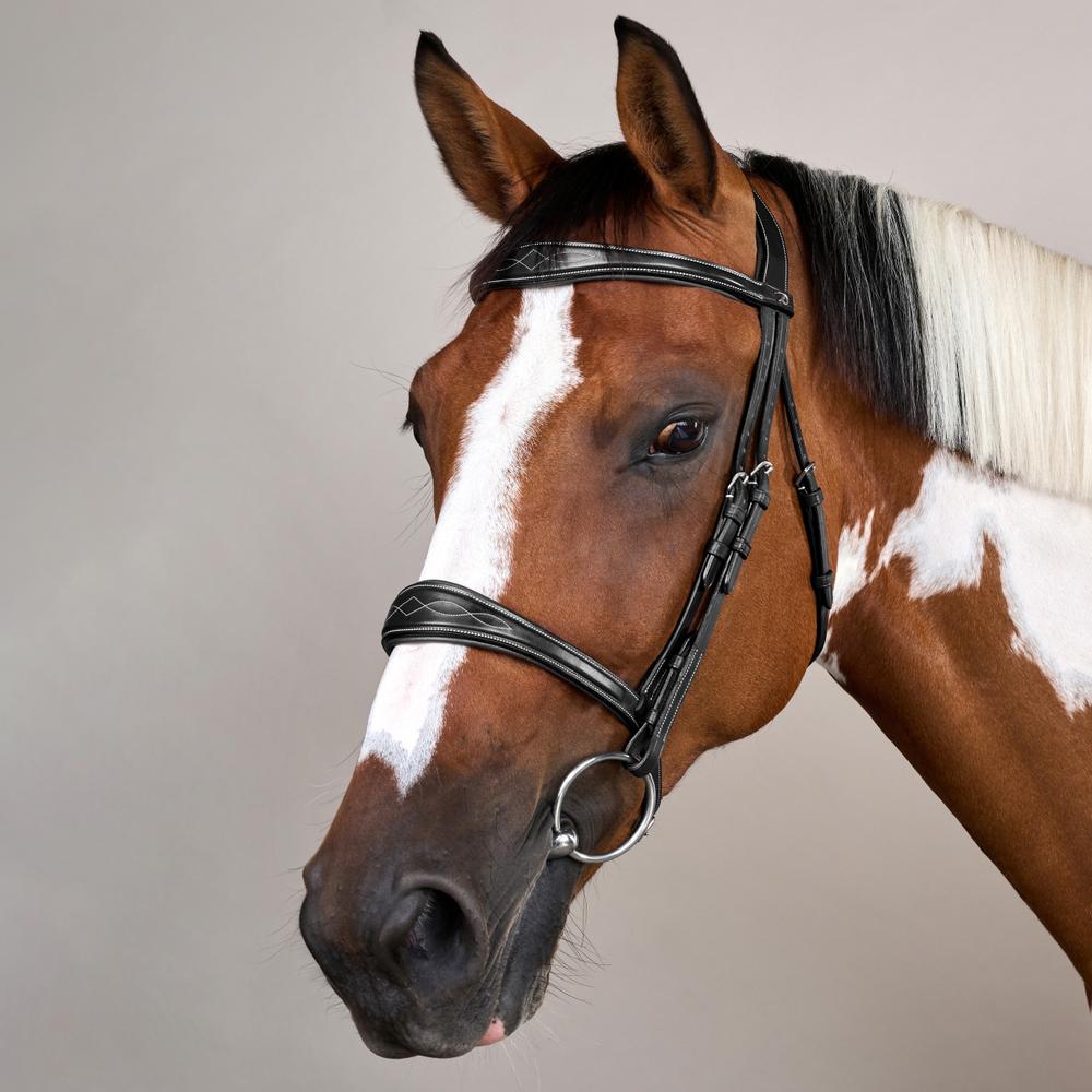 Dy'on Anatomic Noseband Without Flash - Equiluxe Tack
