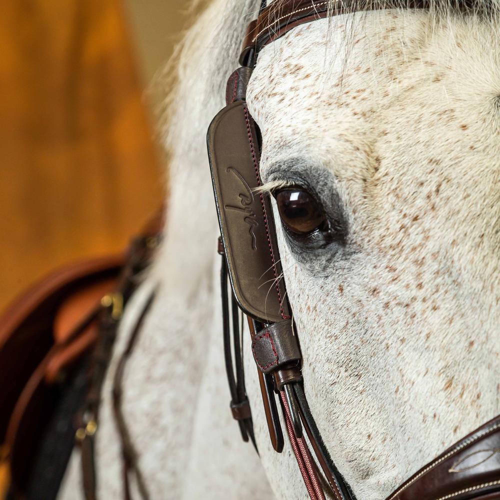 Dy'on Blinkers - Equiluxe Tack