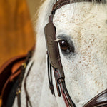 Dy'on Blinkers - Equiluxe Tack