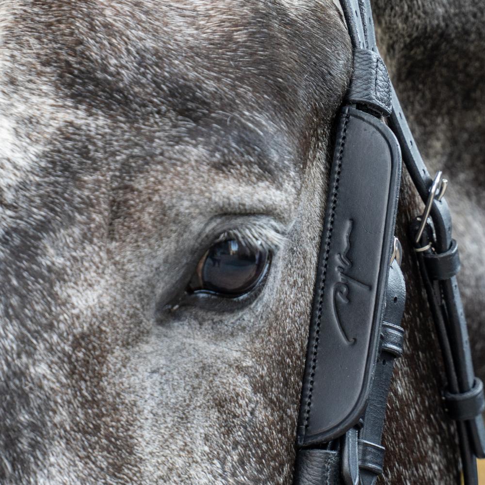 Dy'on Blinkers - Equiluxe Tack