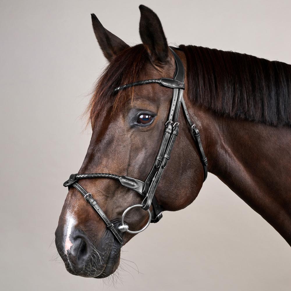 Dy'on Braided Noseband Bridle With Removable Flash - Equiluxe Tack