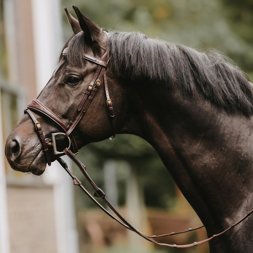 Dy'on Collection 5/8" Hunter Reins with 7 Leather Loops - Equiluxe Tack