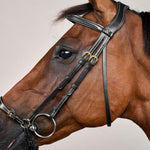 Dy'on Collection Adjustable Drop Noseband Bridle - Equiluxe Tack