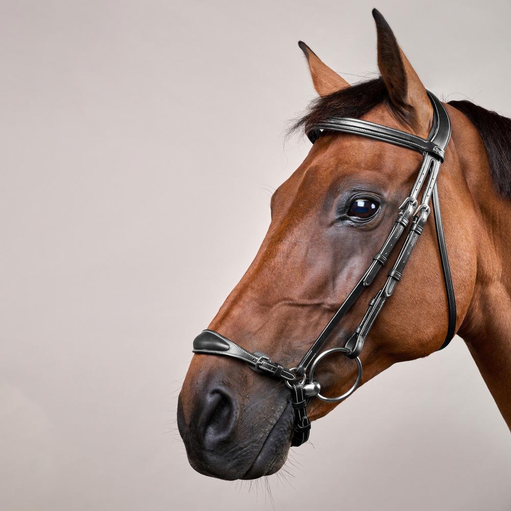 Dy'on Collection Adjustable Drop Noseband Bridle - Equiluxe Tack