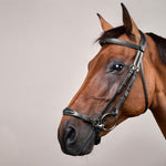 Dy'on Collection Adjustable Drop Noseband Bridle - Equiluxe Tack