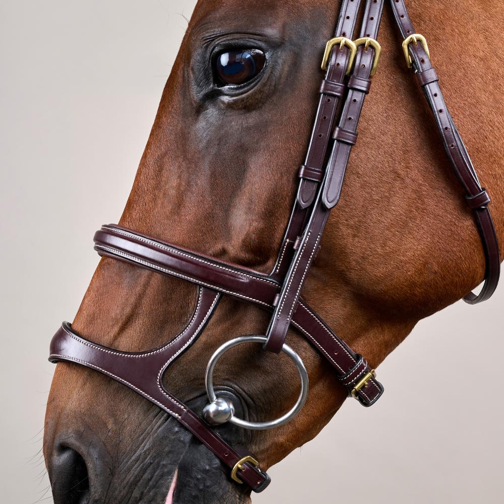 Dy'on Collection Double Noseband Bridle - Equiluxe Tack
