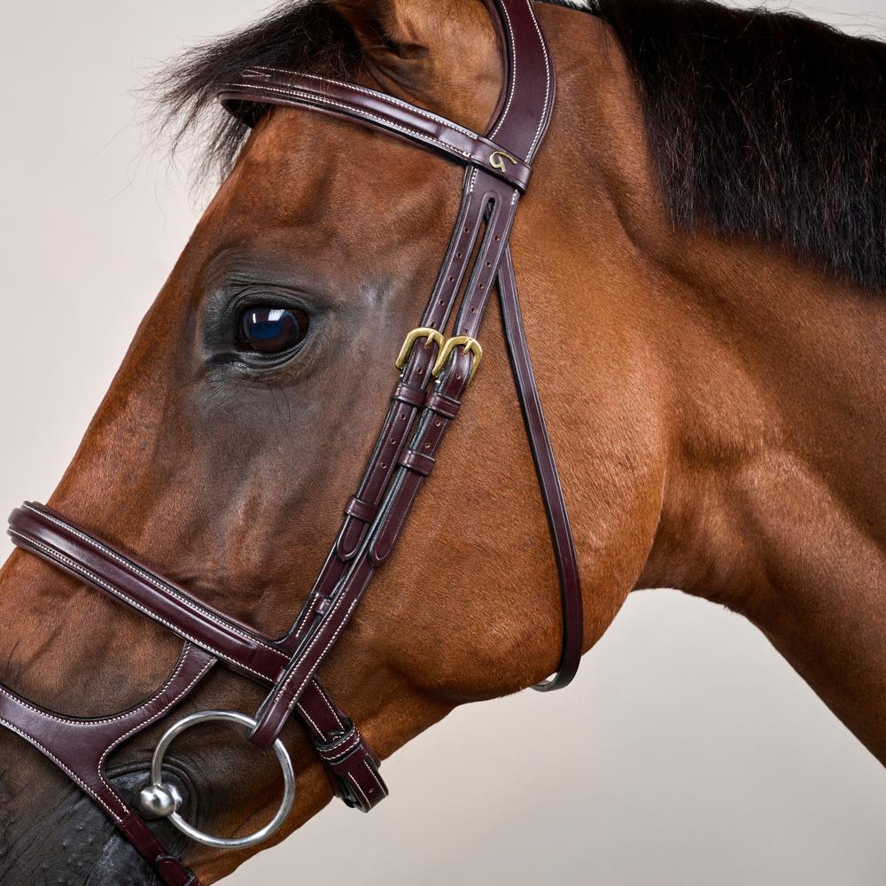 Dy'on Collection Double Noseband Bridle - Equiluxe Tack