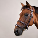 Dy'on Collection Double Noseband Bridle - Equiluxe Tack