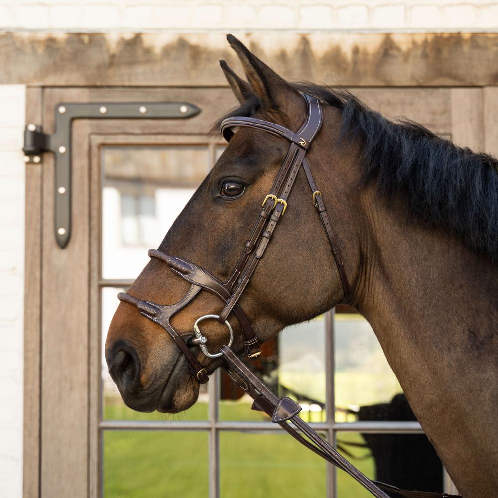 Dy'on Collection Double Rope Leather Covered Noseband - Equiluxe Tack