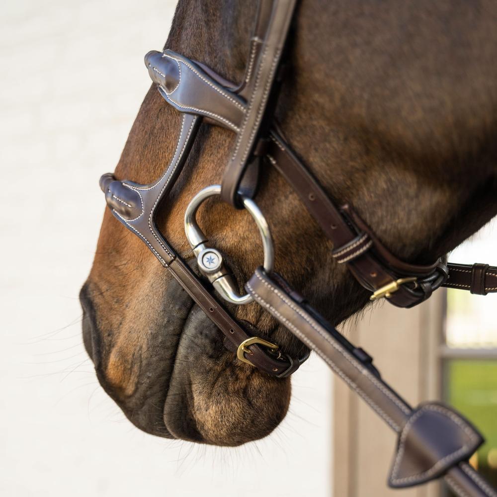 Dy'on Collection Double Rope Leather Covered Noseband - Equiluxe Tack