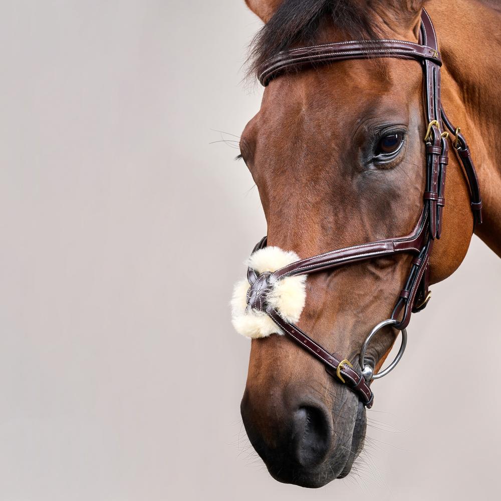 Dy'on Collection Figure 8 Noseband Bridle - Equiluxe Tack