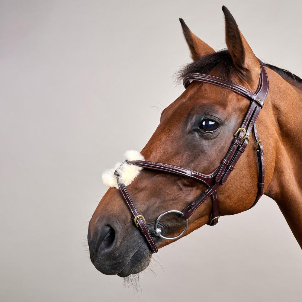 Dy'on Collection Figure 8 Noseband Bridle - Equiluxe Tack