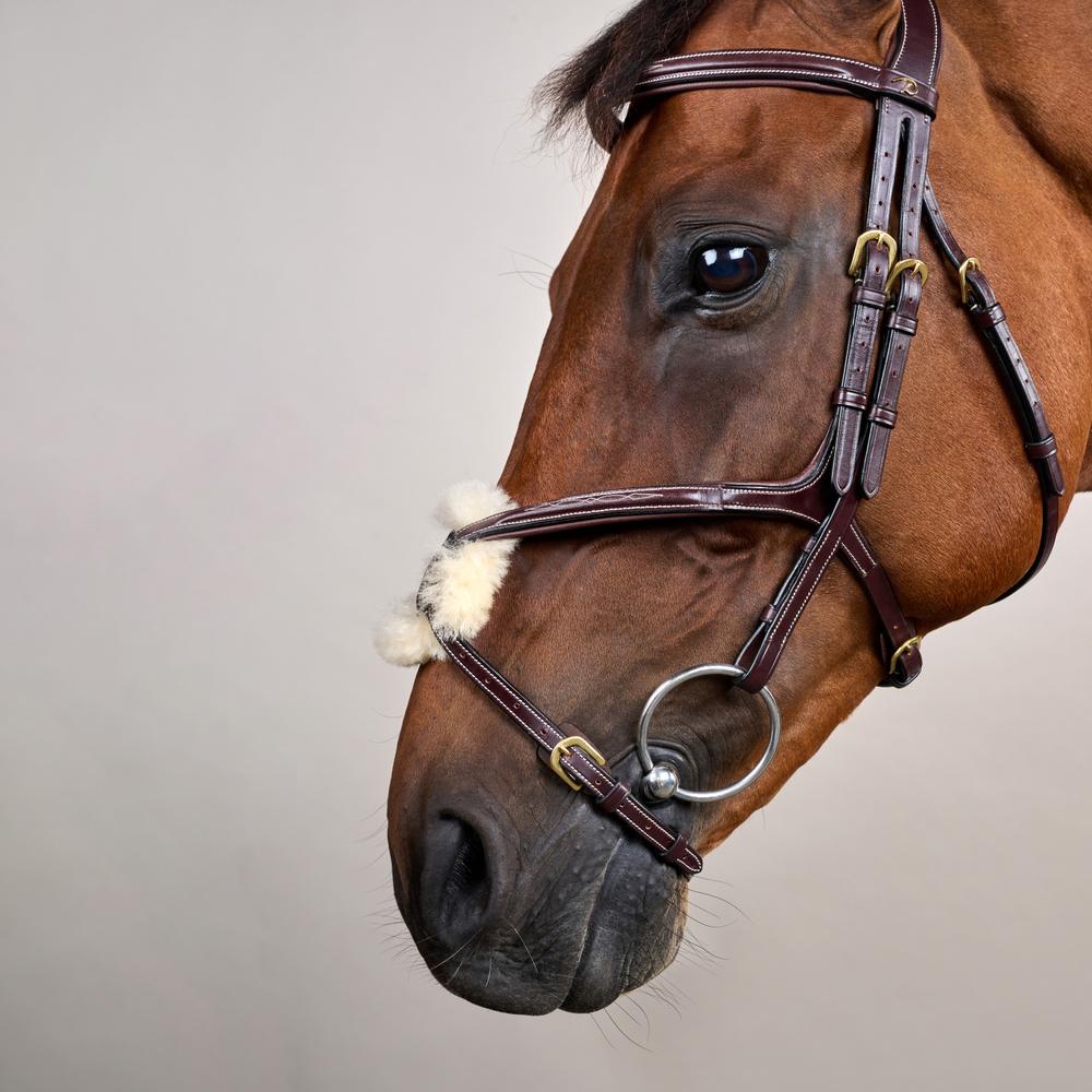 Dy'on Collection Figure 8 Noseband Bridle - Equiluxe Tack