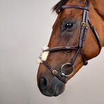Dy'on Collection Figure 8 Noseband Bridle - Equiluxe Tack