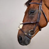 Dy'on Collection Figure 8 Noseband Bridle - Equiluxe Tack