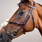 Dy'on Collection Figure 8 Noseband Bridle - Equiluxe Tack